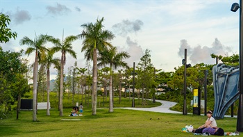The meandering pathway encourages visitors to explore the park’s landscape. Groves of palm trees provide an attractive feature in key areas.